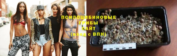 герыч Алзамай
